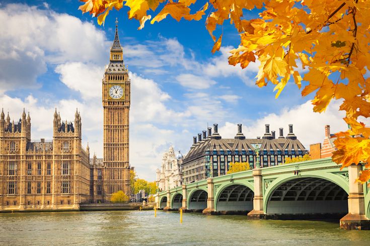 "Access services that assist with your travel plans for studying abroad."